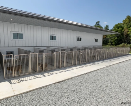 A row of durable outdoor dog kennels that were welded to the highest quality