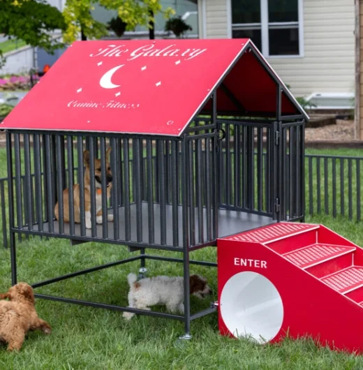 A dog playground that was welded with precision