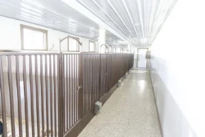 Large welded dog kennels with precision